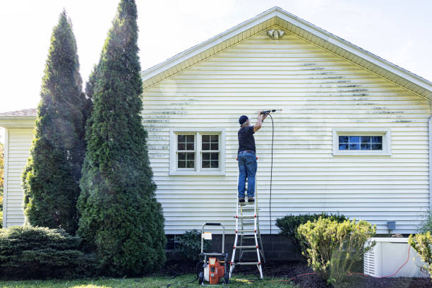 Best Exterior Home Cleaning  in Carson, WA