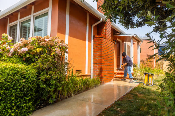 Best Roof Pressure Washing  in Carson, WA